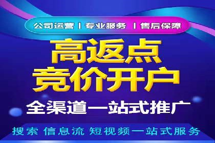 SEM代理服务：案例分享，效果显著